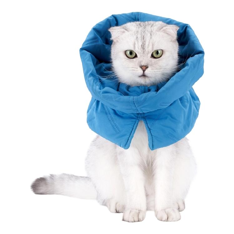 Gentle Recovery Cones Cats Soft Prevents Biting And Licking Wounds Suitable Home Use After Procedures M озеро синього кольору
Gentle Recovery Cones Cats Soft Prevents Biting And Licking Wounds Suitable Home Use After Procedures M озеро синього кольору