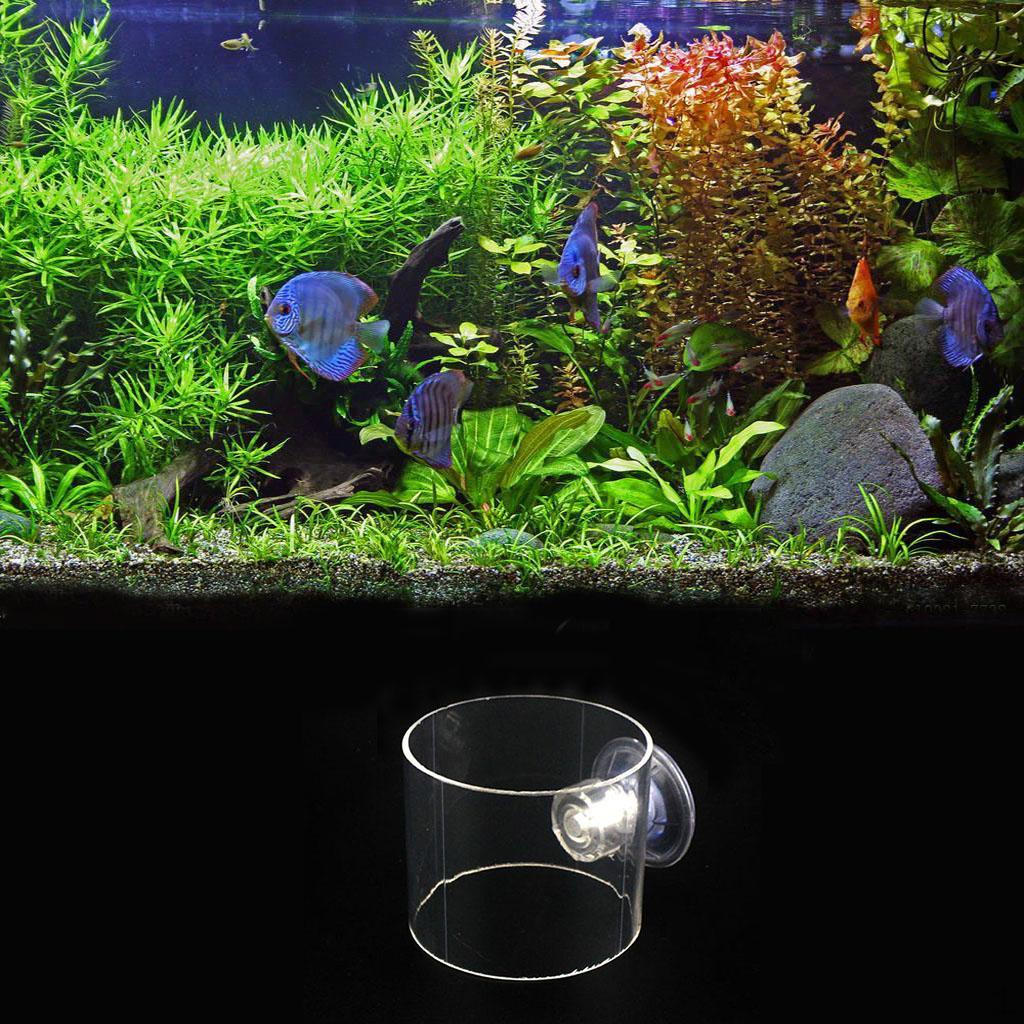 Dispenser for Fish Feed L
Dispenser for Fish Feed L