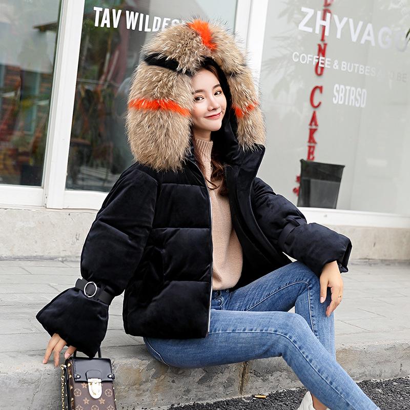 Куртка женская парка короткая толстая теплая бархатная куртка женская толстовка с капюшоном меховой воротник куртка верхняя одежда M чёрный
Куртка женская парка короткая толстая теплая бархатная куртка женская толстовка с капюшоном меховой воротник куртка верхняя одежда M чёрный