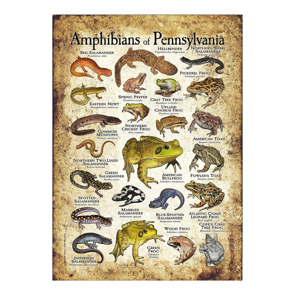 Abstract HD Print Butterfly Frog Birds Shark Marine Animals Collages Poster Canvas Painting Vintage Wall Art For Kid Bedroom Home Decor 20x30cm
Abstract HD Print Butterfly Frog Birds Shark Marine Animals Collages Poster Canvas Painting Vintage Wall Art For Kid Bedroom Home Decor 20x30cm