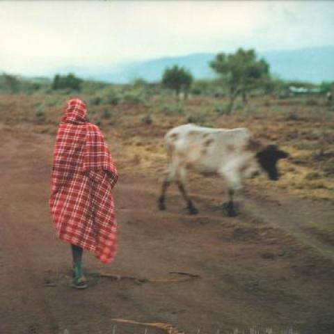 12inch Record STALAWA - In East Africa EP SCOB069 Scotch Bonnet 2019 UK Reggae, Ska & Dub
12inch Record STALAWA - In East Africa EP SCOB069 Scotch Bonnet 2019 UK Reggae, Ska & Dub