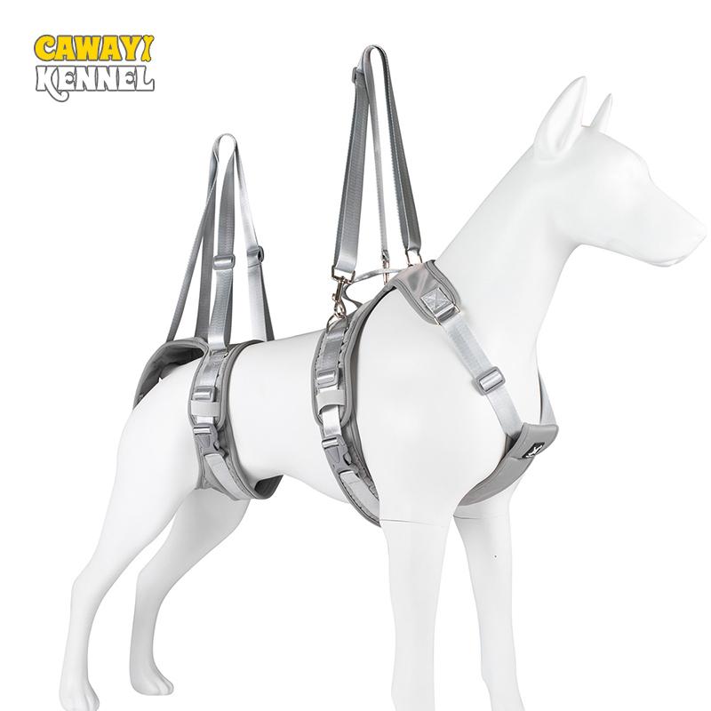 Шлейка для собак CAWAYI KENNEL, отдельный вспомогательный нагрудный ремень, дышащая регулируемая шлейка для прогулок на открытом воздухе, принадлежности для собак, аксессуары для домашних животных
Шлейка для собак CAWAYI KENNEL, отдельный вспомогательный нагрудный ремень, дышащая регулируемая шлейка для прогулок на открытом воздухе, принадлежности для собак, аксессуары для домашних животных