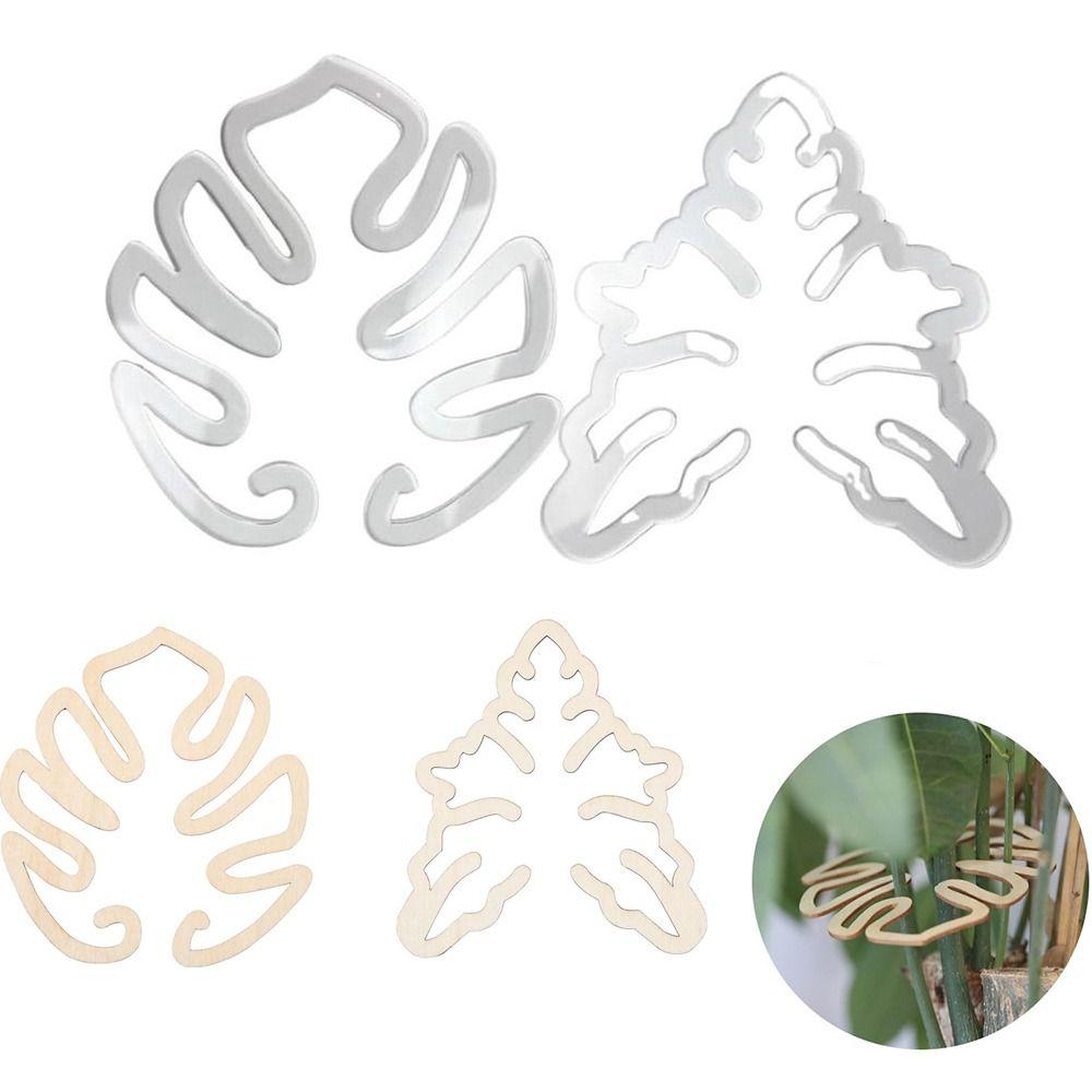 1/2PCS Support Branches Wooden Flower Stem Holder Plant Retaining Support for Flower Lovers B-1PC
1/2PCS Support Branches Wooden Flower Stem Holder Plant Retaining Support for Flower Lovers B-1PC