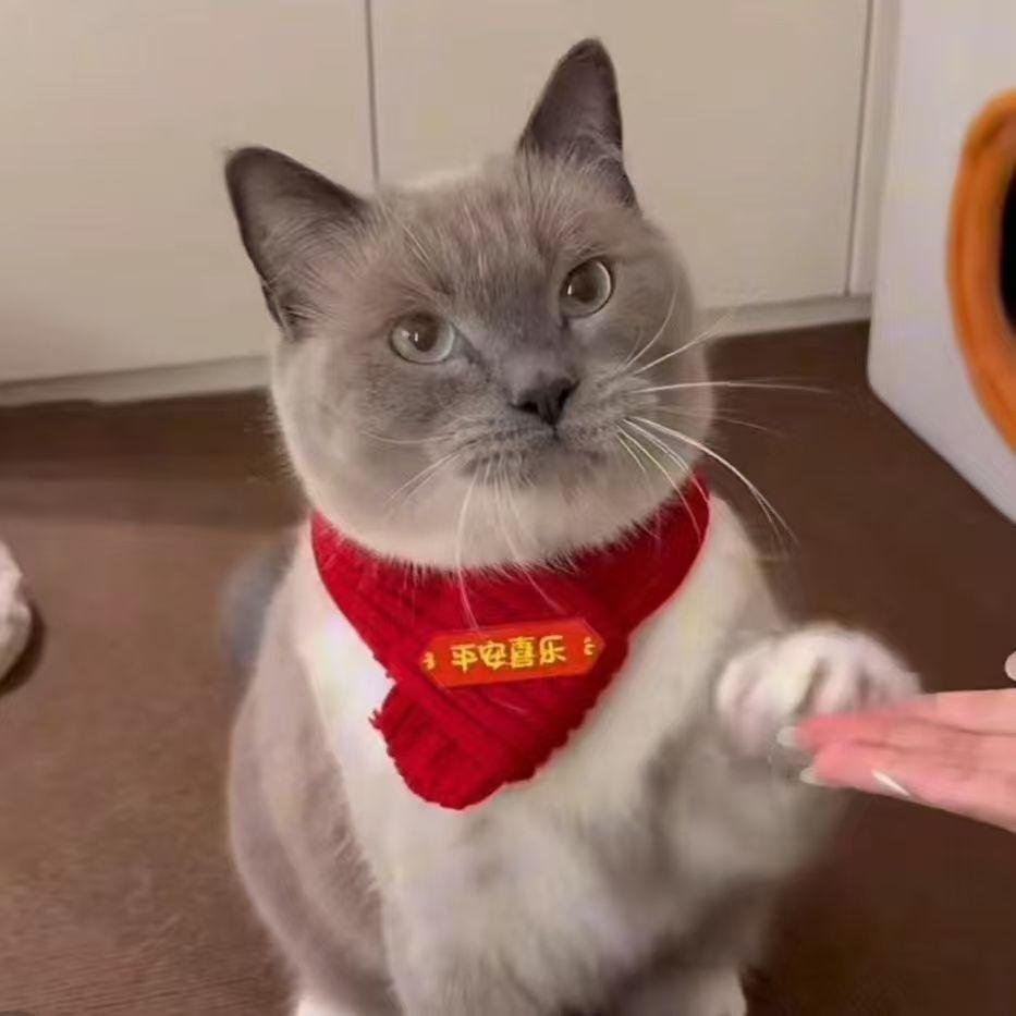 1PC Cat Scarf Puppy Cute New Wool Pet Scarf Bib Dog Warm Accessories New Year Pet Clothing Suitable As A Shooting Prop L
1PC Cat Scarf Puppy Cute New Wool Pet Scarf Bib Dog Warm Accessories New Year Pet Clothing Suitable As A Shooting Prop L