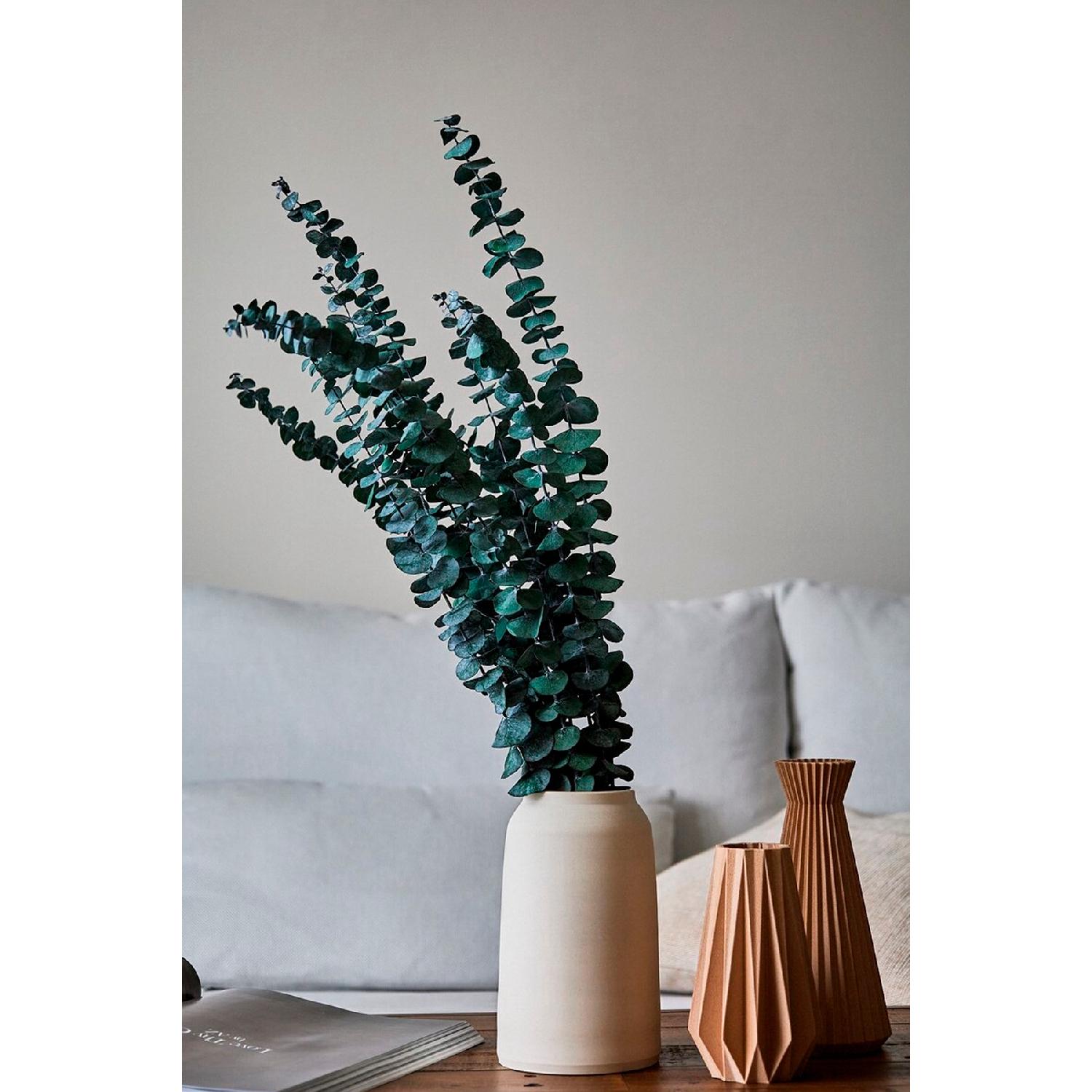 Пучок шокированного зеленого эвкалипта Сушеный букет шокированного эвкалипта
Пучок шокированного зеленого эвкалипта Сушеный букет шокированного эвкалипта