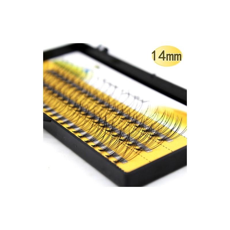 High-quality Natural-looking Eyelash Extensions For Daily And Party Use 14mm
High-quality Natural-looking Eyelash Extensions For Daily And Party Use 14mm