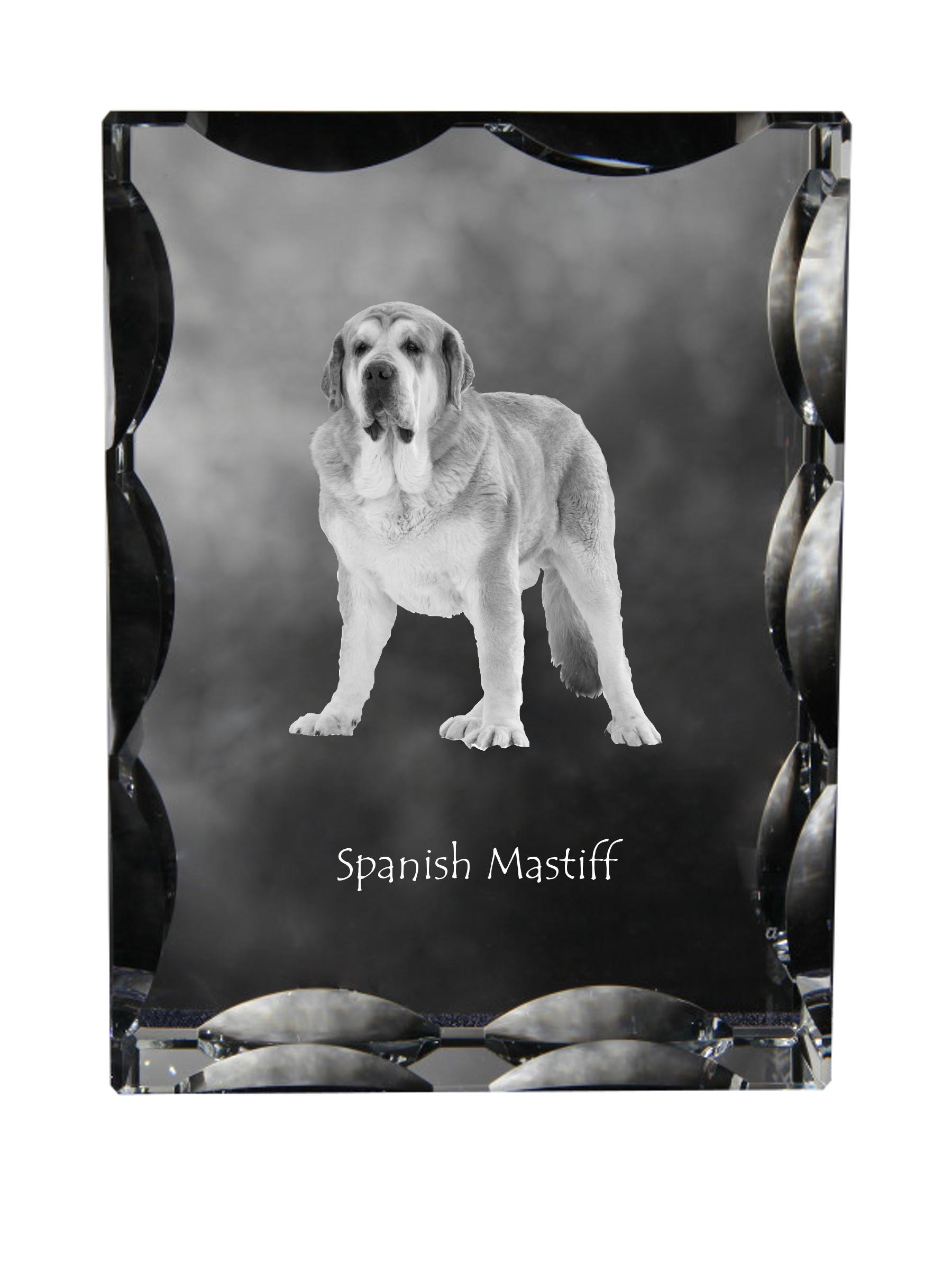 Spanish Mastiff, Mastín Español - crystal with a picture of a dog, glass statuette with a picture, unique frame with a picture from Art-Dog brand прозорий
Spanish Mastiff, Mastín Español - crystal with a picture of a dog, glass statuette with a picture, unique frame with a picture from Art-Dog brand прозорий