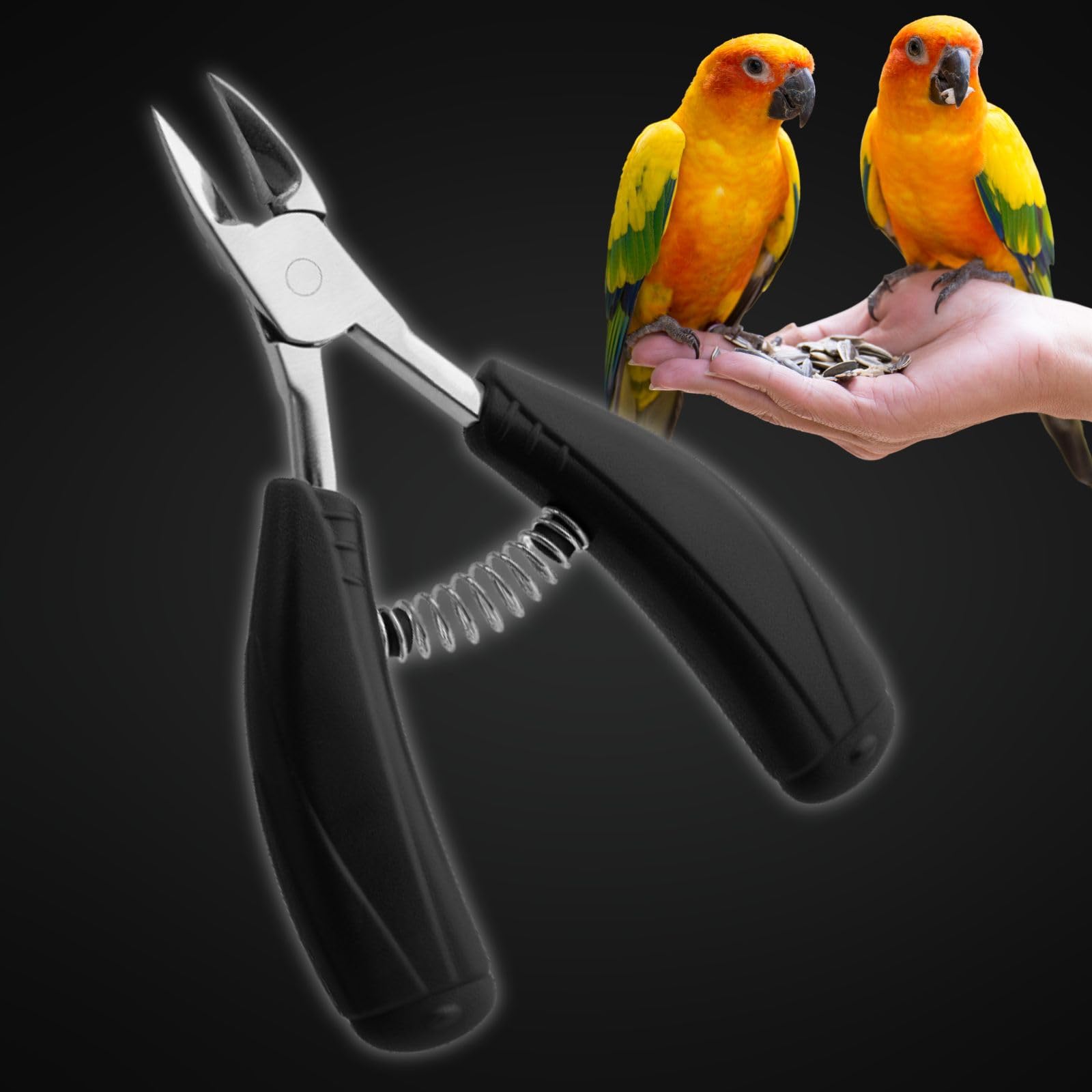 Leap Raupe Parakeet Nail Clipper Parakeet Hamster Rabbit Cat Nail Clipper Nail Clippers Nippers Black Black Spring Ver.
Leap Raupe Parakeet Nail Clipper Parakeet Hamster Rabbit Cat Nail Clipper Nail Clippers Nippers Black Black Spring Ver.