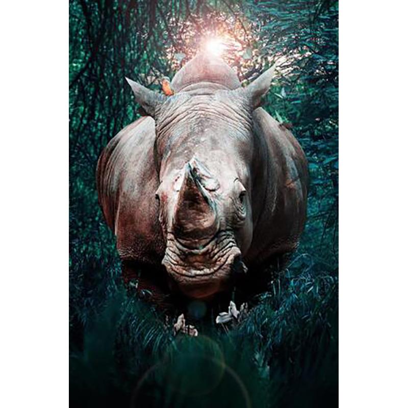 Полный круглый дрель 5D DIY Животные Тигр Алмазная картина Цветок Лиса Алмазная вышивка Крестом Рождественское украшение Full Round 20x30CM
Полный круглый дрель 5D DIY Животные Тигр Алмазная картина Цветок Лиса Алмазная вышивка Крестом Рождественское украшение Full Round 20x30CM