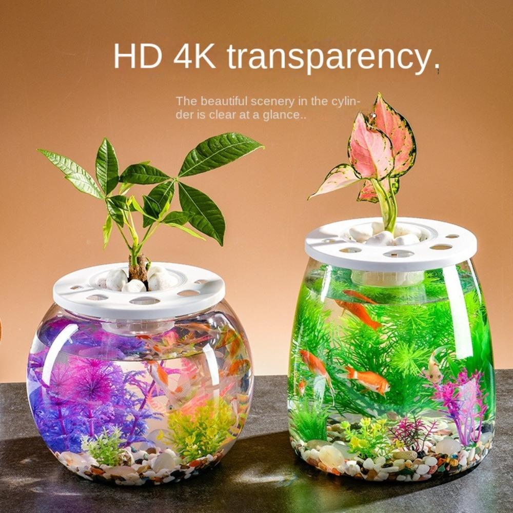 Transparency Fish Tank Transparent Plant Vase Home Decor Ecological Bottle Office Desktop 15*15-Small column
Transparency Fish Tank Transparent Plant Vase Home Decor Ecological Bottle Office Desktop 15*15-Small column