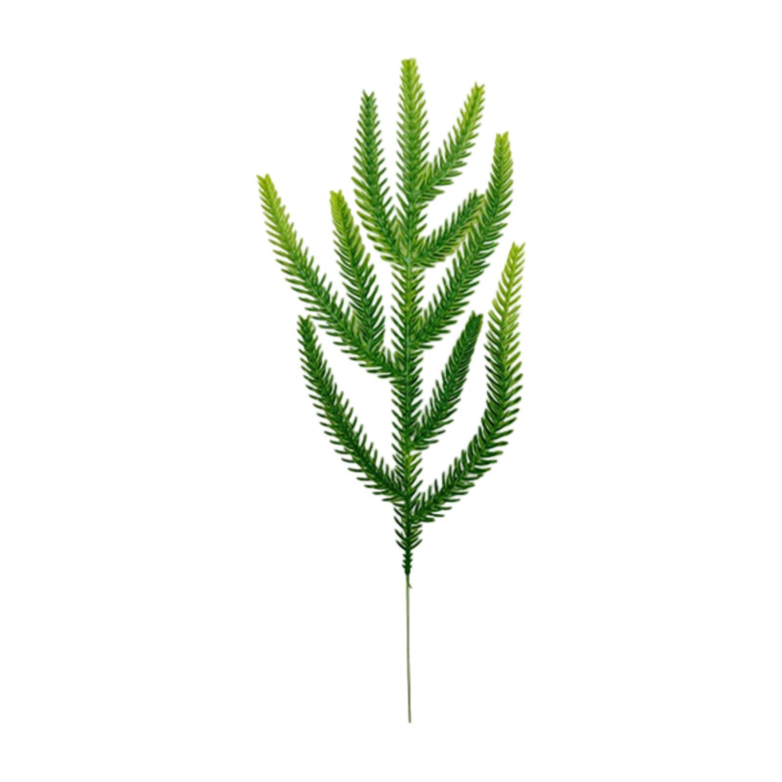 Artificial Pine, Needles, Christmas Tree Accessories, 10 Pieces One Size
Artificial Pine, Needles, Christmas Tree Accessories, 10 Pieces One Size