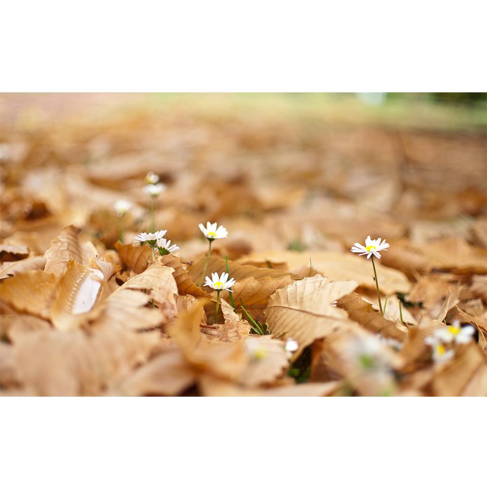 Пейзаж 5D DIY алмазная живопись горный хрусталь художественная картина полная алмазная вышивка пейзаж набор крестиков мозаика домашний декор Full Round 20x30CM
Пейзаж 5D DIY алмазная живопись горный хрусталь художественная картина полная алмазная вышивка пейзаж набор крестиков мозаика домашний декор Full Round 20x30CM