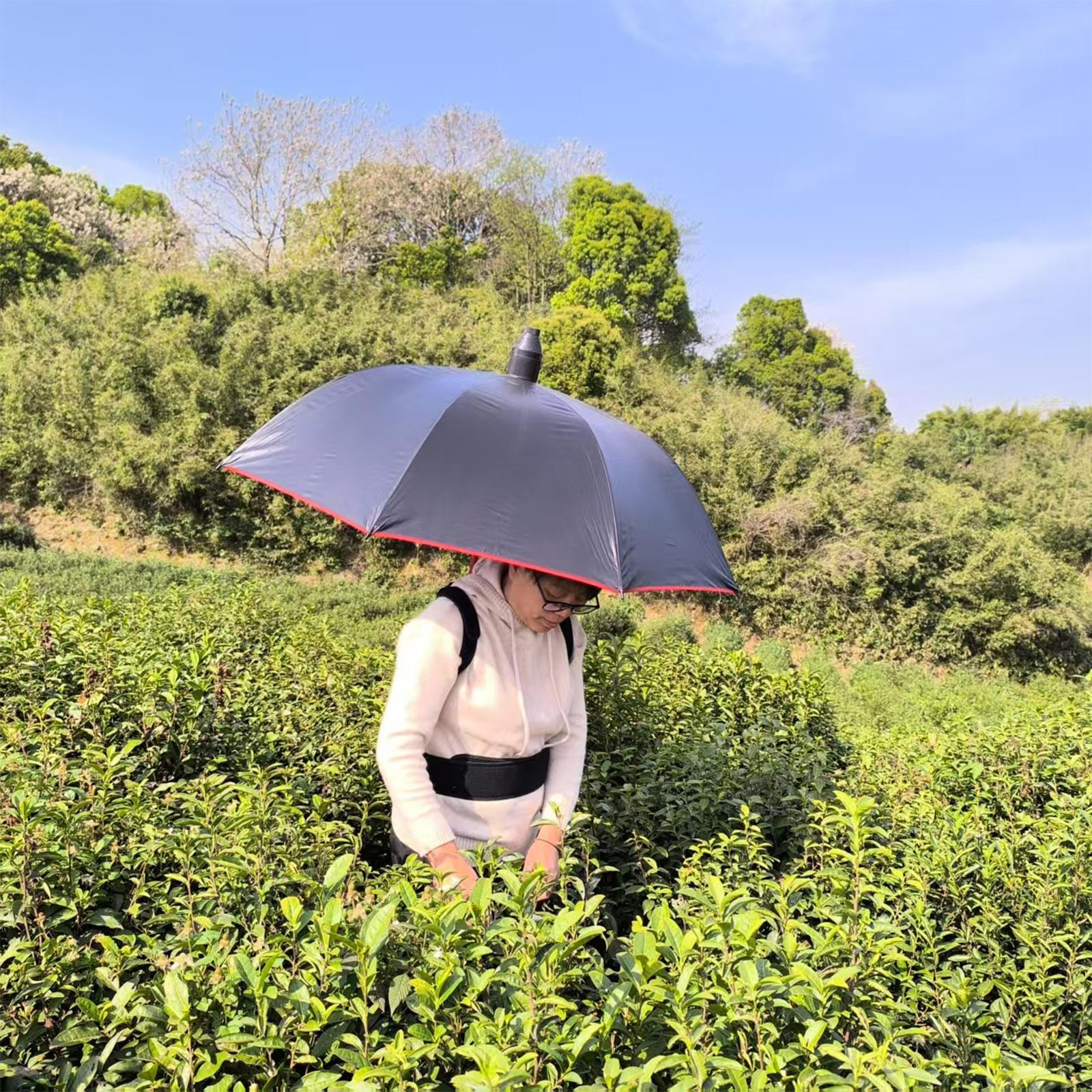 Носимый держатель для зонта, ремешок-держатель, легко носить, удобный аксессуар, фиксированная поддержка
Носимый держатель для зонта, ремешок-держатель, легко носить, удобный аксессуар, фиксированная поддержка