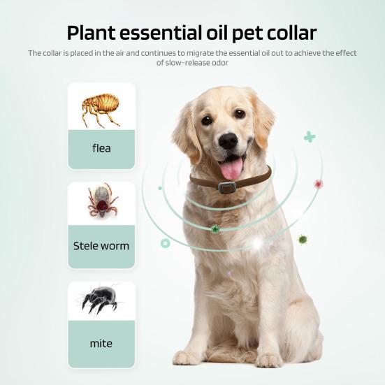 Ошейник от блох Yousheng Pet Регулируемый ошейник от блох и клещей для кошек и собак 8 месяцев Длительная защита Натуральный ошейник от клещей для домашних животных
Ошейник от блох Yousheng Pet Регулируемый ошейник от блох и клещей для кошек и собак 8 месяцев Длительная защита Натуральный ошейник от клещей для домашних животных