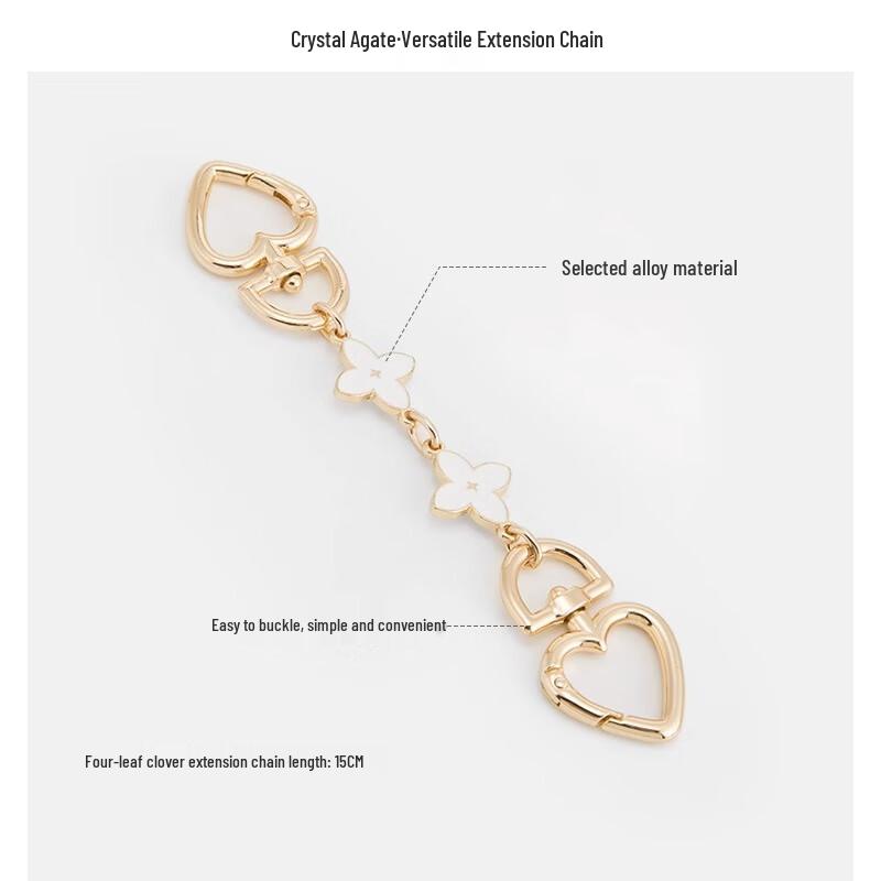 Coach Teri Bag Metal Extension Chain
Coach Teri Bag Metal Extension Chain