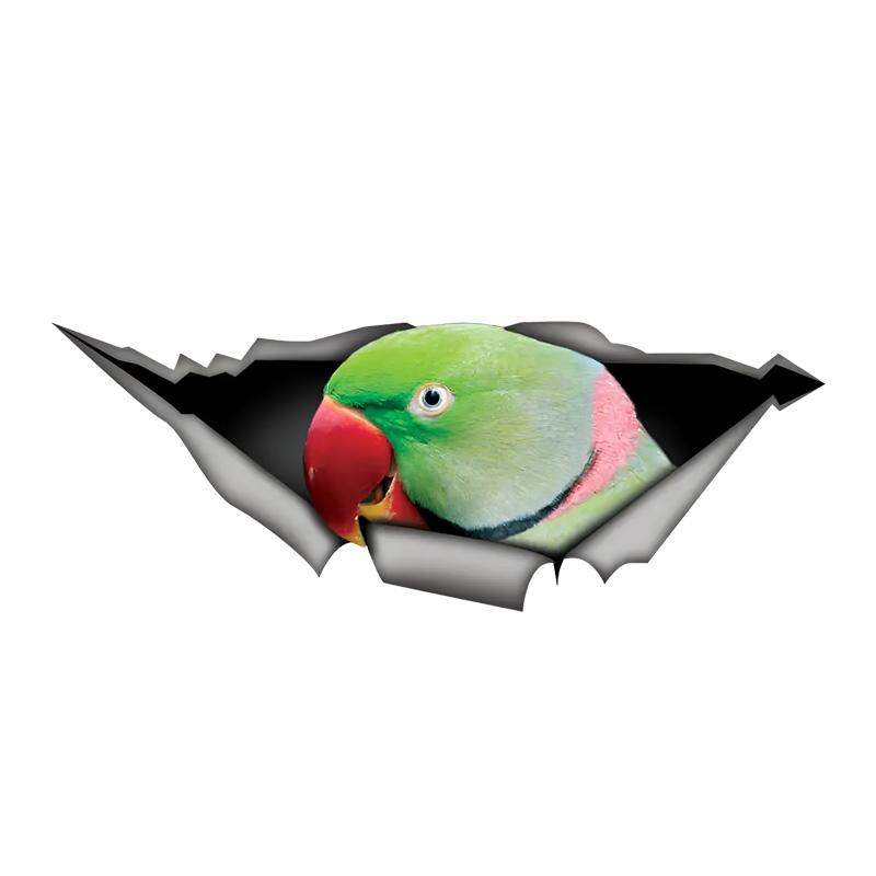 Alexandrine Parakeet Car Stickers, Waterproof Pvc Animal Decals With 3D Effect, Block Scratches and Increase Fun Auto Parts 15cm-Longest Side
Alexandrine Parakeet Car Stickers, Waterproof Pvc Animal Decals With 3D Effect, Block Scratches and Increase Fun Auto Parts 15cm-Longest Side