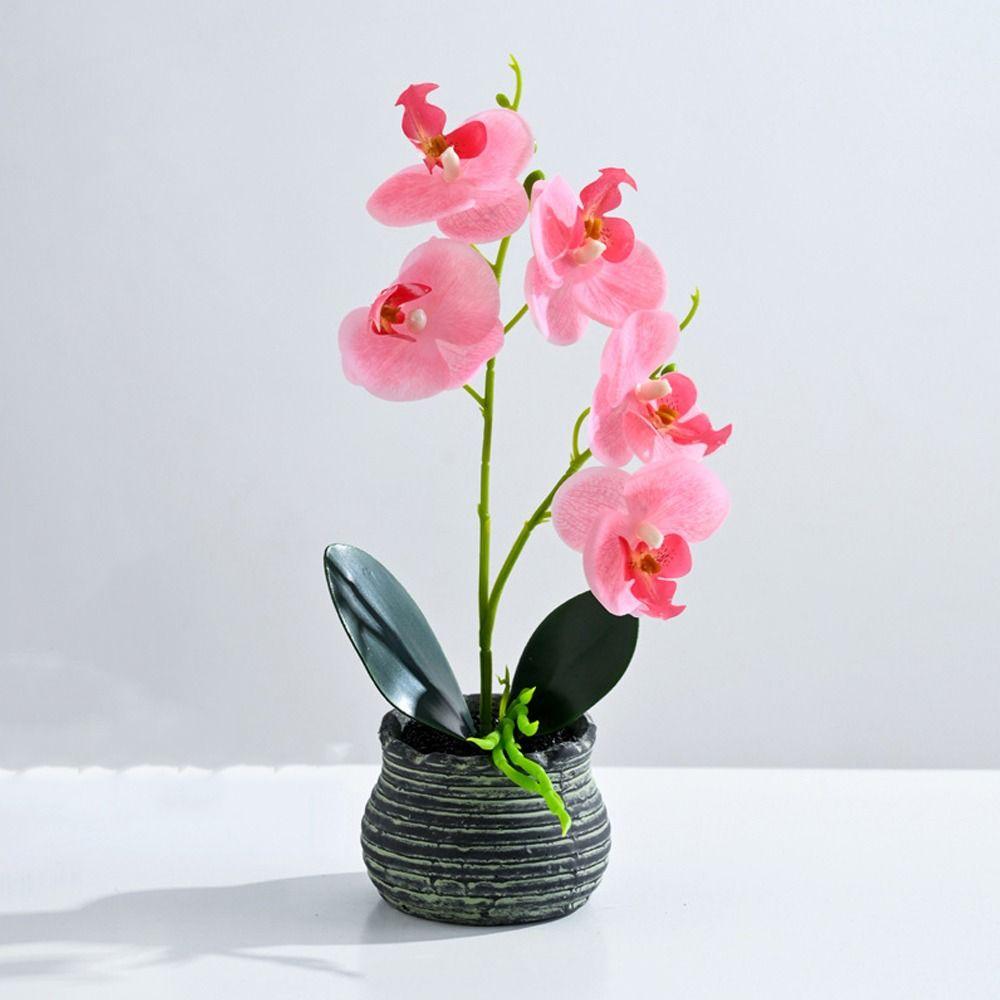 Real Touch Artificial Orchid Bonsai 5 Flowers Artificial Plant Simulation Phalaenopsis Wedding фиолетовый
Real Touch Artificial Orchid Bonsai 5 Flowers Artificial Plant Simulation Phalaenopsis Wedding фиолетовый