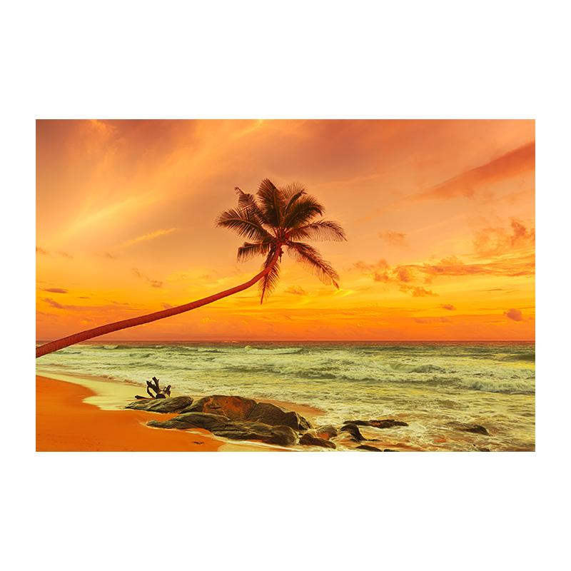 Beach Sunset Clouds Coco Nut Tree Canvas Painting Palm Tree Posters and Prints Sunrise Seascape Home Room Decor Unframed 50x75cm
Beach Sunset Clouds Coco Nut Tree Canvas Painting Palm Tree Posters and Prints Sunrise Seascape Home Room Decor Unframed 50x75cm