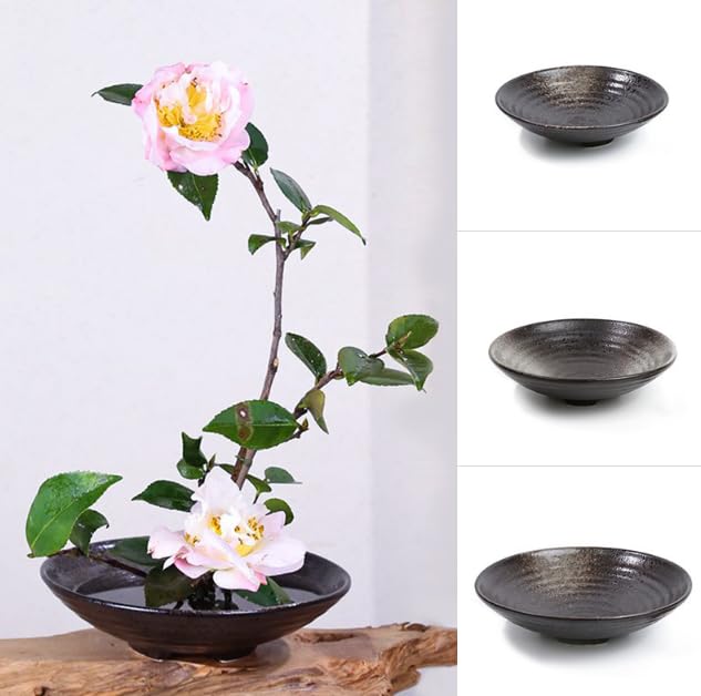 Boono Ikebana Vase, Ceramic-Style Water Basin, Simple Flower Arrangement, 3 Sizes (Small - 17cm Diameter)
Boono Ikebana Vase, Ceramic-Style Water Basin, Simple Flower Arrangement, 3 Sizes (Small - 17cm Diameter)