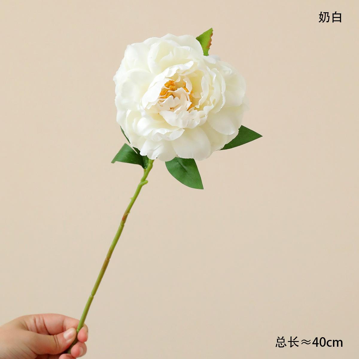 Oil painting retro style single head European simulation peony bouquet pink home decoration ornament fake flower roasted edge fake flower молочный белый
Oil painting retro style single head European simulation peony bouquet pink home decoration ornament fake flower roasted edge fake flower молочный белый