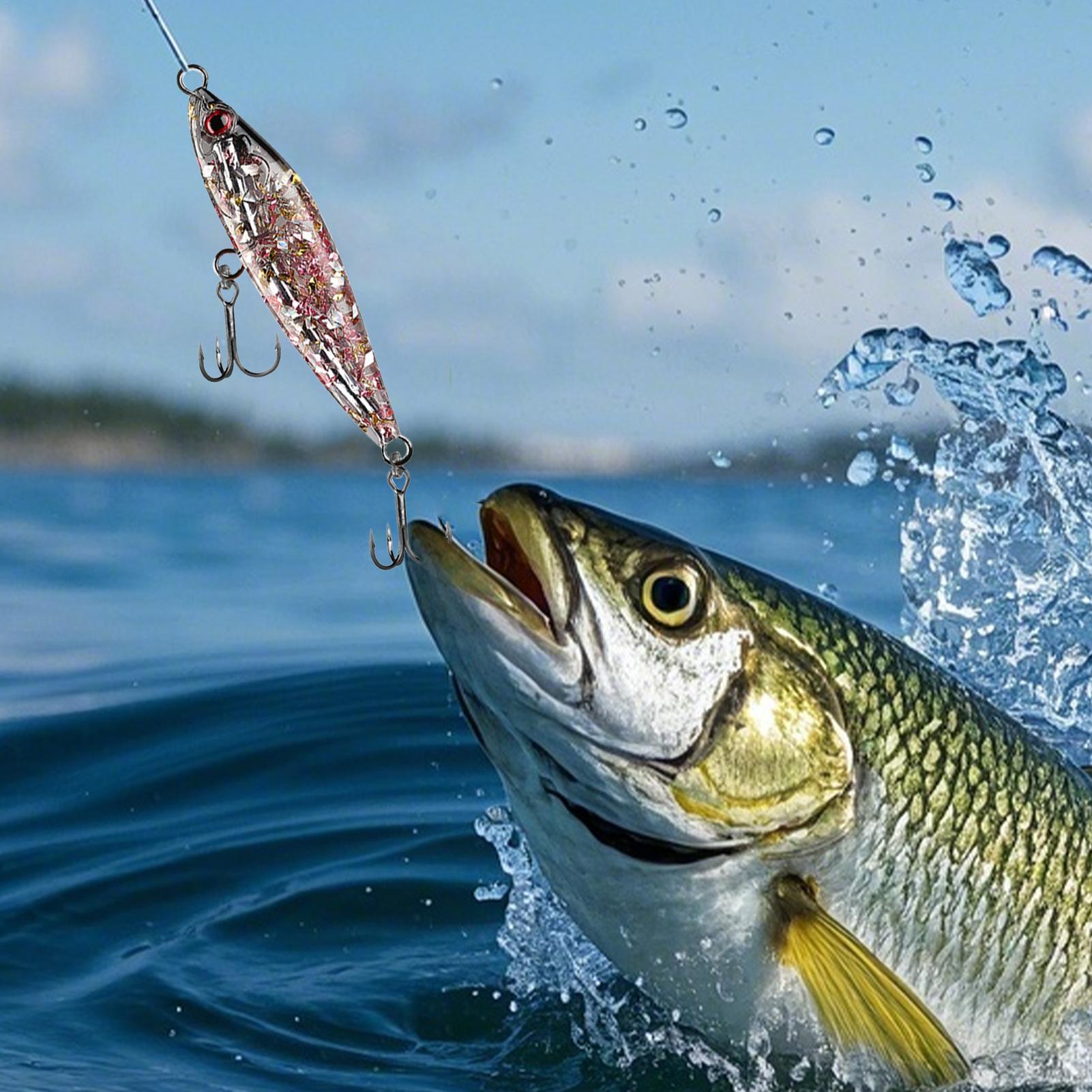 Fishing Lure 3 Pieces Casting Tackle Accessories Trout Lures For Freshwater Saltwater Lake River Reservoir Coastal Port China Mainland
Fishing Lure 3 Pieces Casting Tackle Accessories Trout Lures For Freshwater Saltwater Lake River Reservoir Coastal Port China Mainland