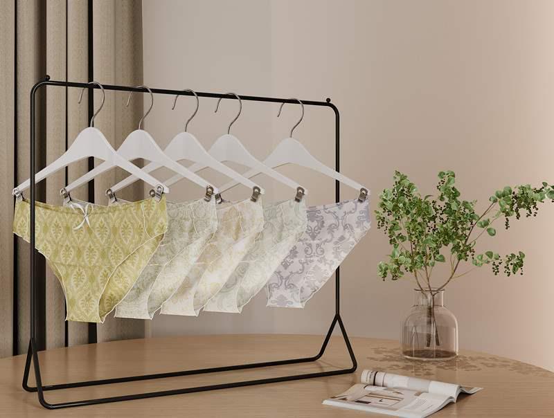 Panties Underwear Display Rack - Store Window Shelf and Desktop Stand
Panties Underwear Display Rack - Store Window Shelf and Desktop Stand