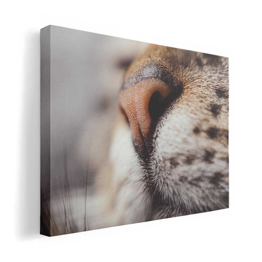 Art 420mm x Wall Wooden Stylish Interior Animal Photo Panel, Picture, Painting, Decoration, igsticker, 297mm, A3, Photo, Hanging, Frame, Decor,
Art 420mm x Wall Wooden Stylish Interior Animal Photo Panel, Picture, Painting, Decoration, igsticker, 297mm, A3, Photo, Hanging, Frame, Decor,