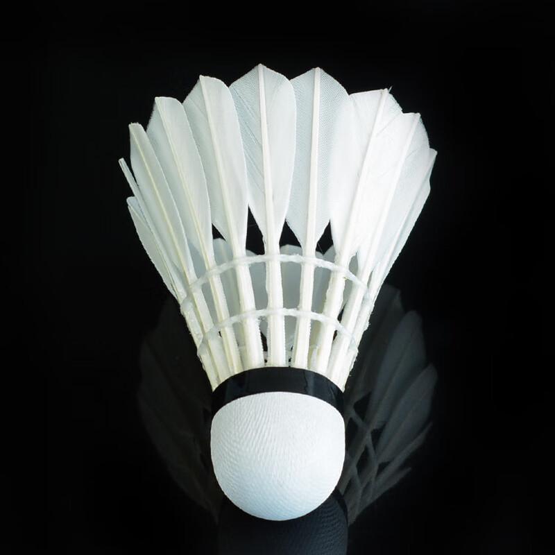 Longjian Training Badminton Shuttlecock
Longjian Training Badminton Shuttlecock