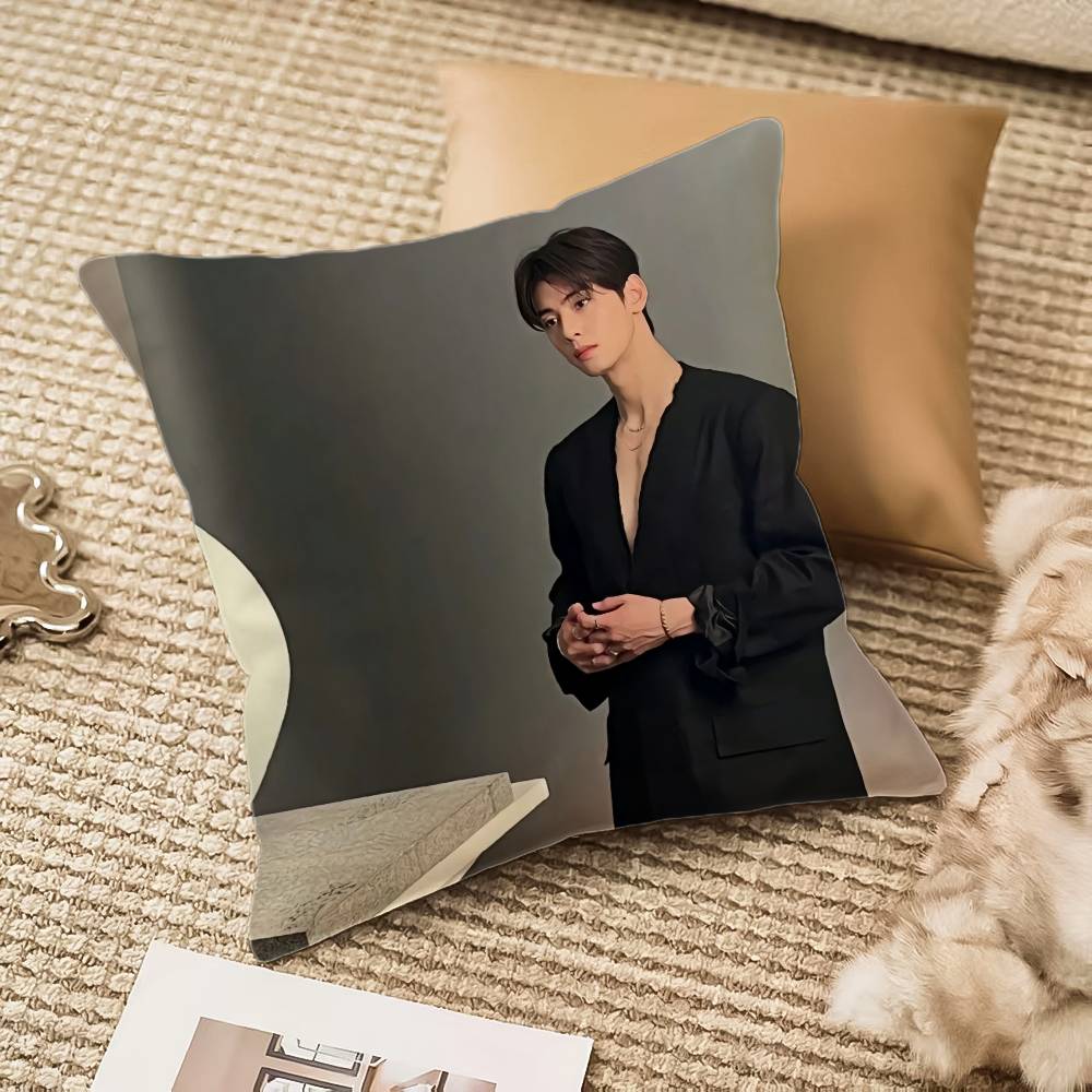 Kpop Singer Cha E-Eun W-Woo Pillow Case Anti-dustmite Invisible zipper Sofa Bed 12x12Inch
Kpop Singer Cha E-Eun W-Woo Pillow Case Anti-dustmite Invisible zipper Sofa Bed 12x12Inch