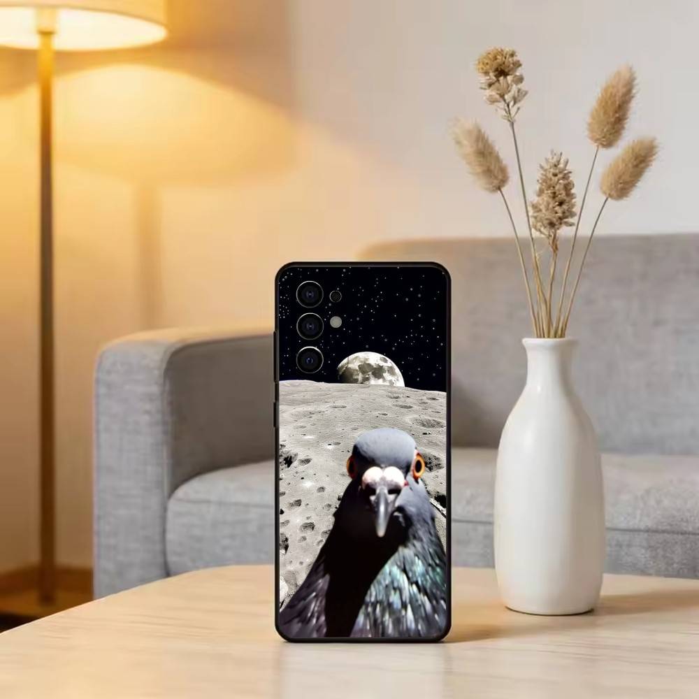 Funny silly pigeon Phone Case Black Silicone Soft For Samsung S25,S24,S21,S22,S23,S30,Ultra,S20,Plus,Fe,Lite Samsung S24fe
Funny silly pigeon Phone Case Black Silicone Soft For Samsung S25,S24,S21,S22,S23,S30,Ultra,S20,Plus,Fe,Lite Samsung S24fe