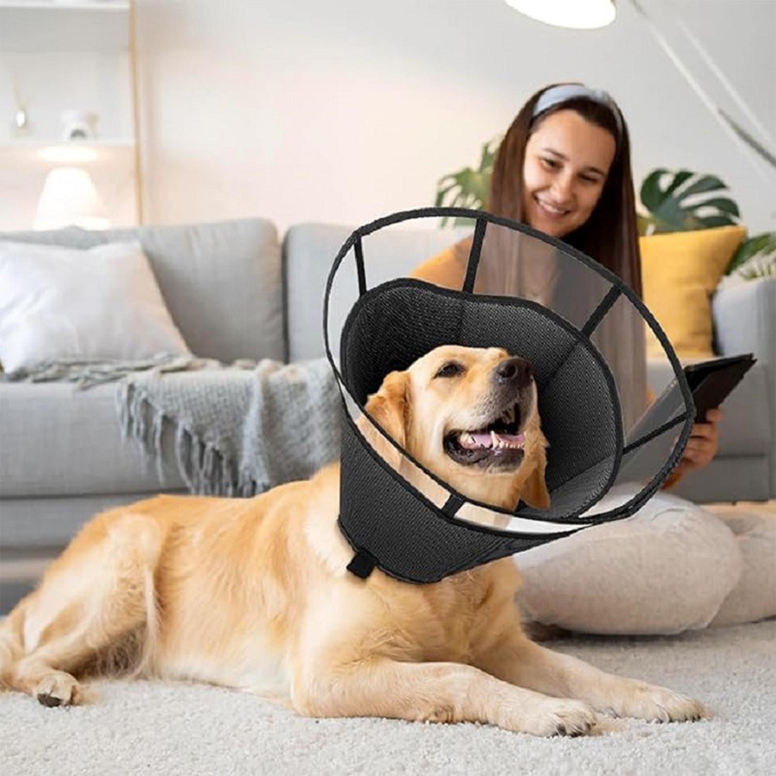 Dog Cone Collar Adjustable Anti-Licking Protective Guard Dog Collar For Cat Puppy Care Health Management Wound Protection Neck M
Dog Cone Collar Adjustable Anti-Licking Protective Guard Dog Collar For Cat Puppy Care Health Management Wound Protection Neck M