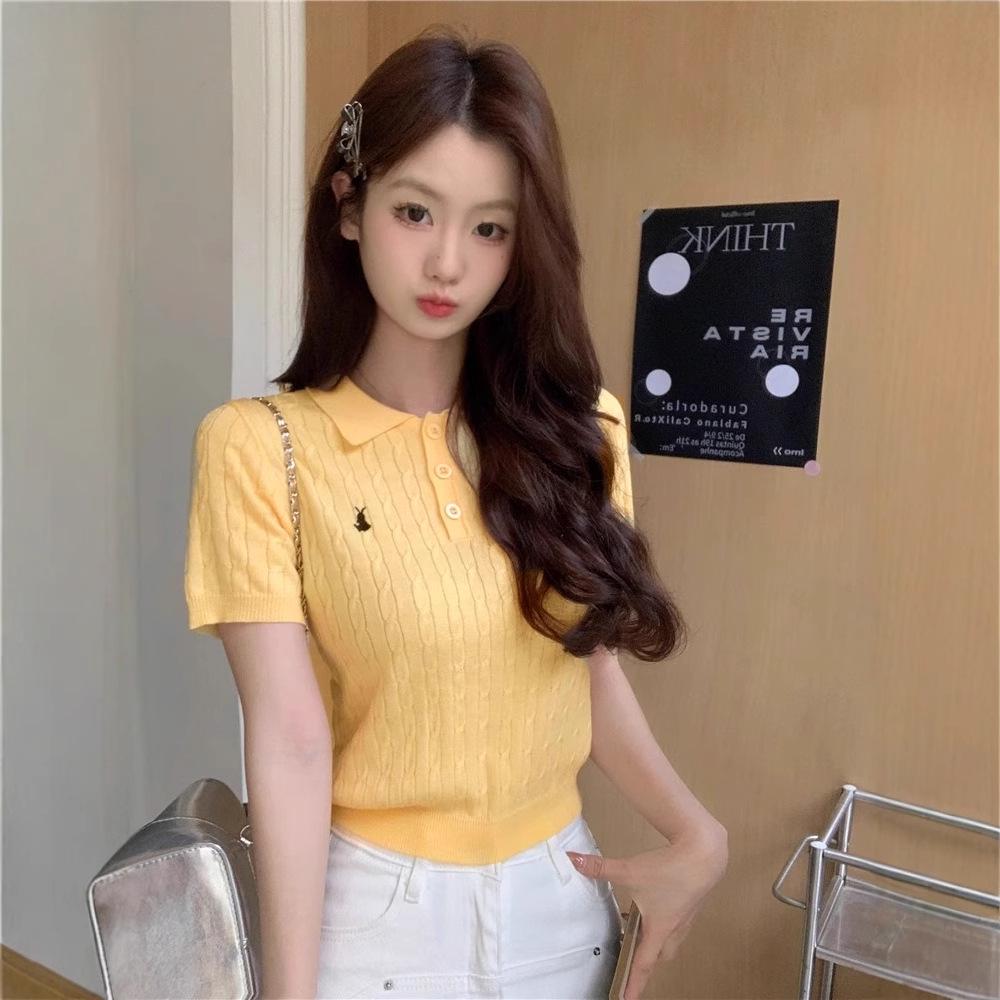 2025 Summer Korean Style Polo Collar Ice Silk Knitted Short Sleeve Women s Blouse One Size (up to 125 lbs)
2025 Summer Korean Style Polo Collar Ice Silk Knitted Short Sleeve Women s Blouse One Size (up to 125 lbs)