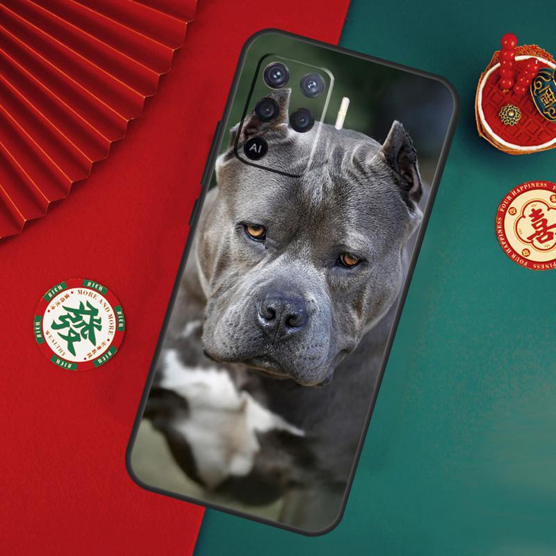 Pit Bull Pitbull Dog Case For Oppo A15 A17 A57 A6 A5 Pro A54 A74 A94 A16 A76 A96 A40 A60 A80 A18 A38 A58 A78 A98 OPPO A77 5G
Pit Bull Pitbull Dog Case For Oppo A15 A17 A57 A6 A5 Pro A54 A74 A94 A16 A76 A96 A40 A60 A80 A18 A38 A58 A78 A98 OPPO A77 5G