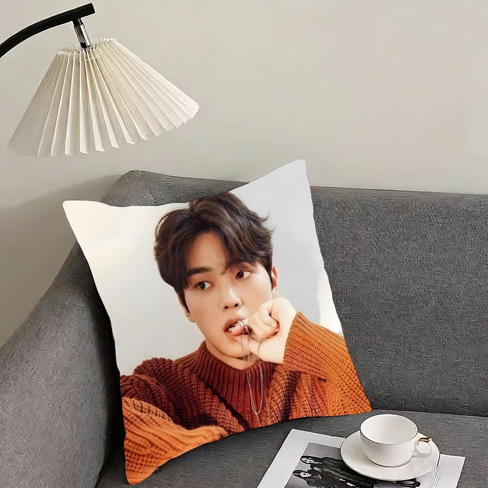 SSong KanGg Actor Cushion Cover Pillowcase Ultra Soft Skin Friendly Fabric Cloud Like Comfort Concealed Zipper 30x30cm
SSong KanGg Actor Cushion Cover Pillowcase Ultra Soft Skin Friendly Fabric Cloud Like Comfort Concealed Zipper 30x30cm