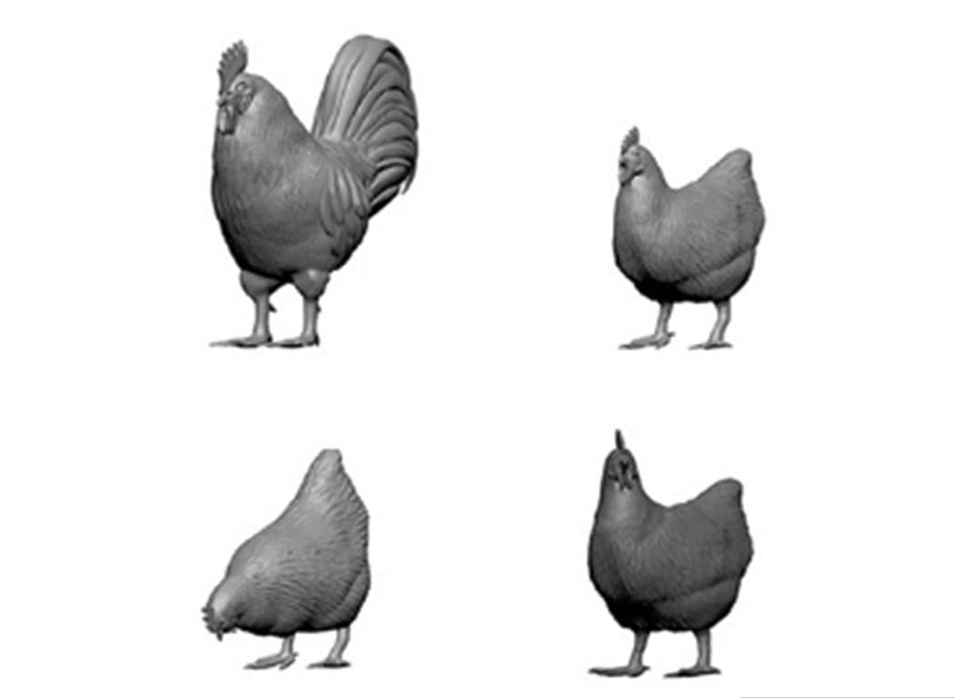 Black Dog Rooster Chicken Set 3D Printer Resin Parts HAU3D35022 1/35 & (Military)
Black Dog Rooster Chicken Set 3D Printer Resin Parts HAU3D35022 1/35 & (Military)