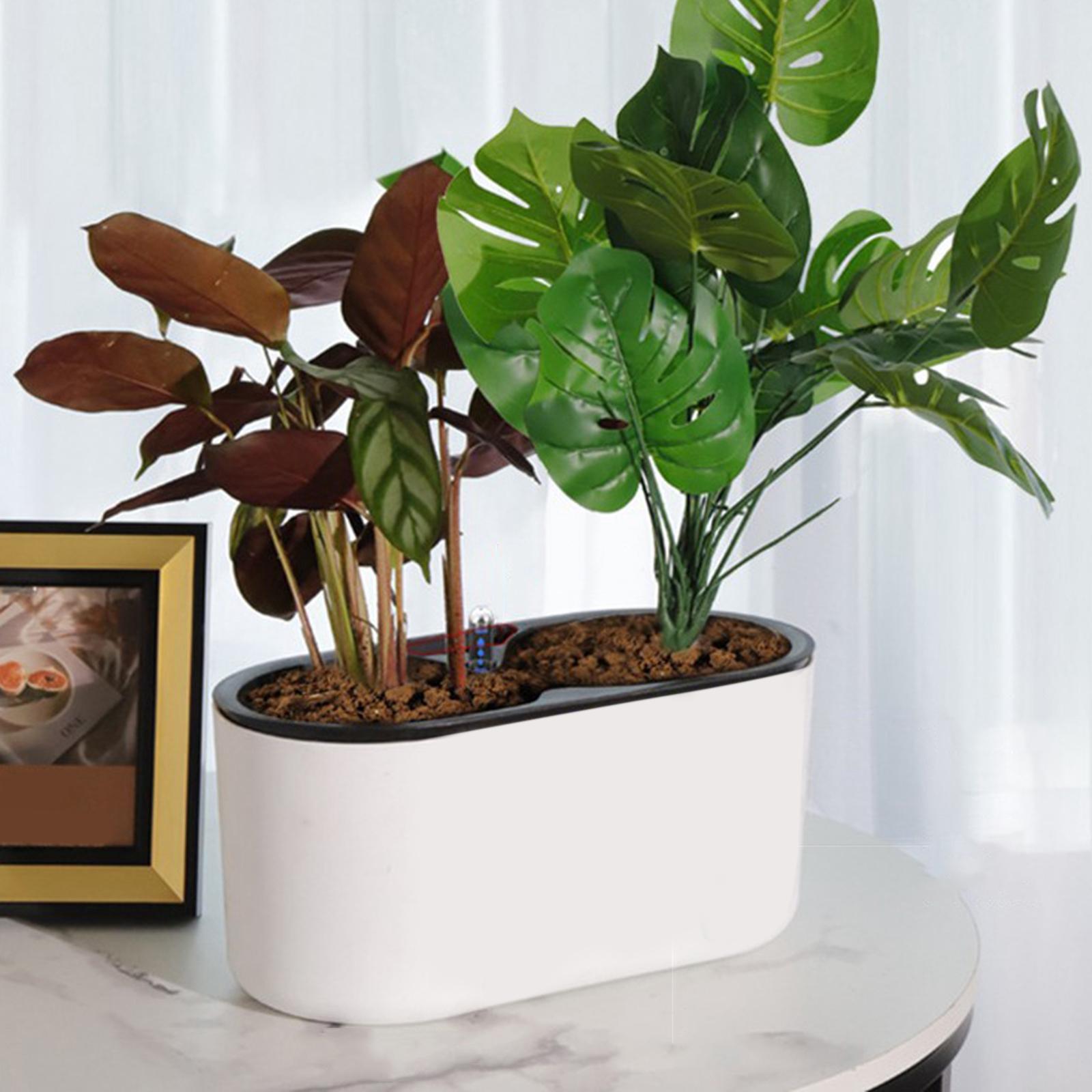 Self Watering Planter Simple Aloe Small Plants Planter Flowerpot Decor
Self Watering Planter Simple Aloe Small Plants Planter Flowerpot Decor