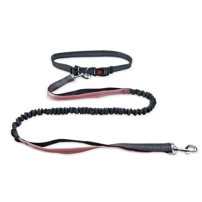 Retractable Portable Running Dog Leash
Retractable Portable Running Dog Leash