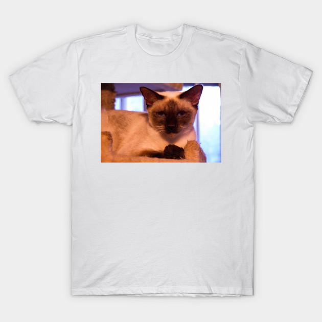 T Shirt Women Mookie Does Her Model Thing Harajuku Print Kawaii Tshirt Summer Short Sleeve Female T-Shirt Top Tee S розовый
T Shirt Women Mookie Does Her Model Thing Harajuku Print Kawaii Tshirt Summer Short Sleeve Female T-Shirt Top Tee S розовый