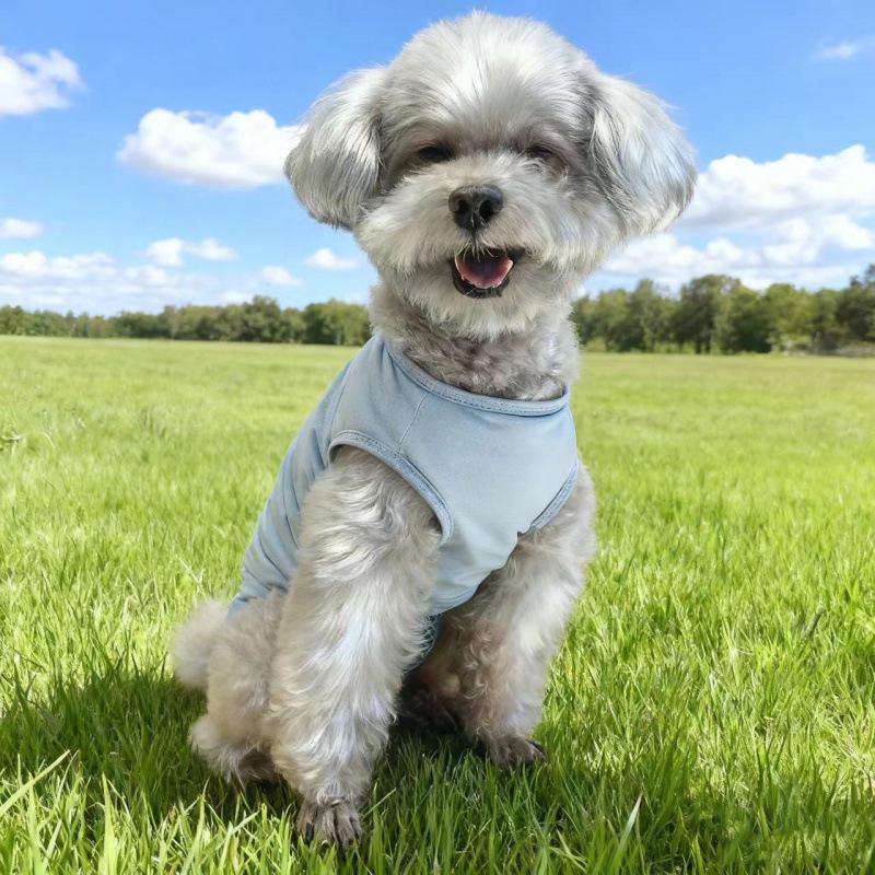 Pet Anti-Harassment Cotton Dog Clothing Factory Stock Immediate Dispatch
Pet Anti-Harassment Cotton Dog Clothing Factory Stock Immediate Dispatch