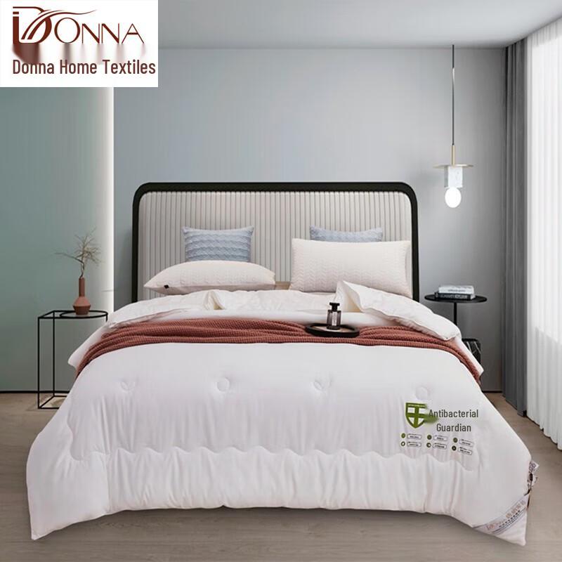 Donner Home Cloud Velvet Antibacterial All-Season Quilt
Donner Home Cloud Velvet Antibacterial All-Season Quilt