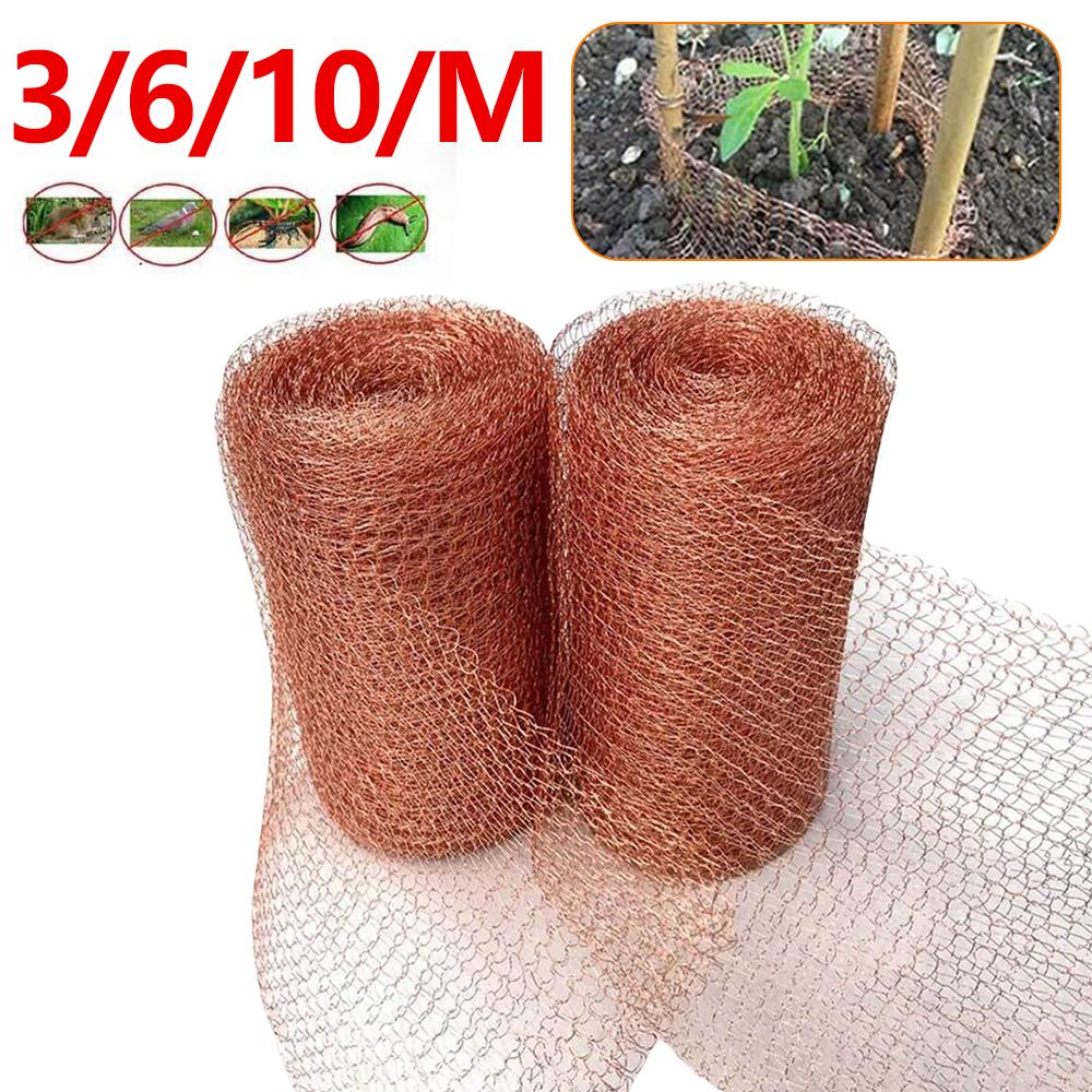 3/6/10/m Copper Wire Mesh Signal Shielding Net Anti-Snail Copper Wire Net Wire Pest & Rodent Net Copper Mesh Decor Garden Net
3/6/10/m Copper Wire Mesh Signal Shielding Net Anti-Snail Copper Wire Net Wire Pest & Rodent Net Copper Mesh Decor Garden Net