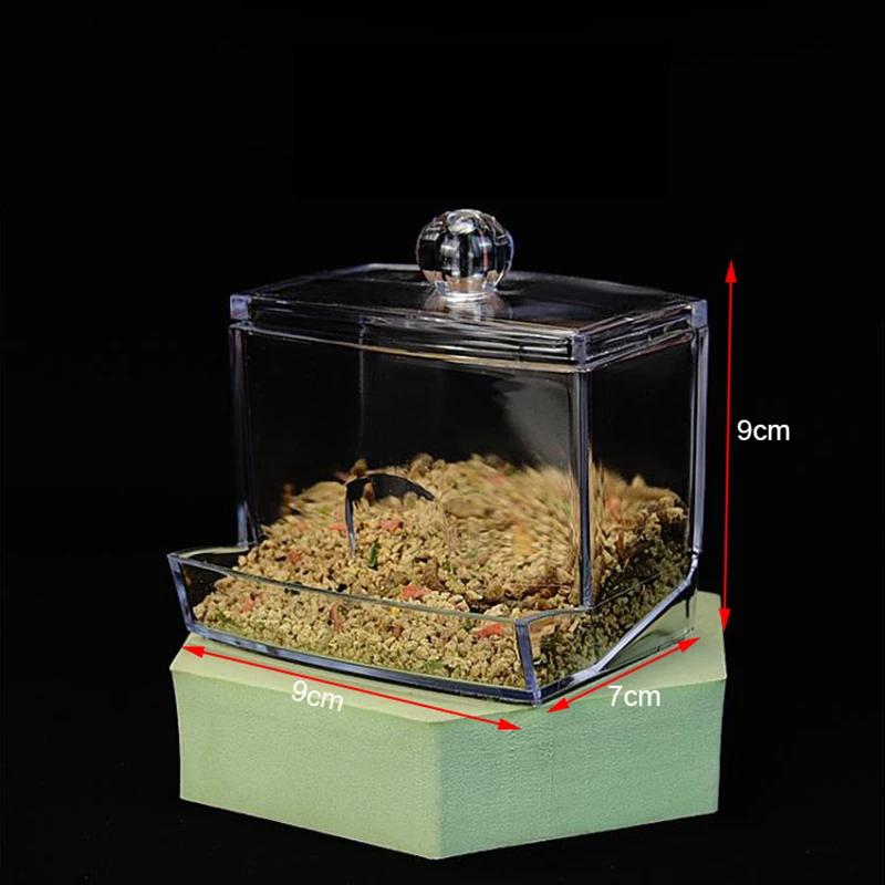 Acrylic Pet Birds Feeder Cage Bowl Fruit Vegetable Container Feeding Cup Cuttlebone Stand Holder Pet Cage Accessories Products
Acrylic Pet Birds Feeder Cage Bowl Fruit Vegetable Container Feeding Cup Cuttlebone Stand Holder Pet Cage Accessories Products