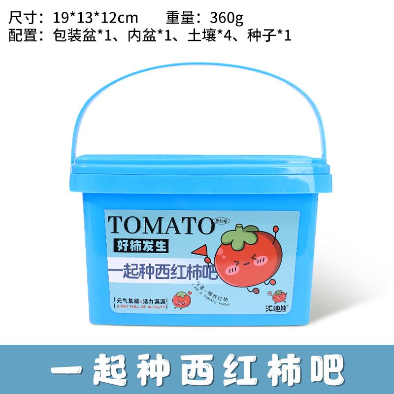 Children grow small potted strawberry mini plant sprout farm growth observation box for science practice томатний
Children grow small potted strawberry mini plant sprout farm growth observation box for science practice томатний