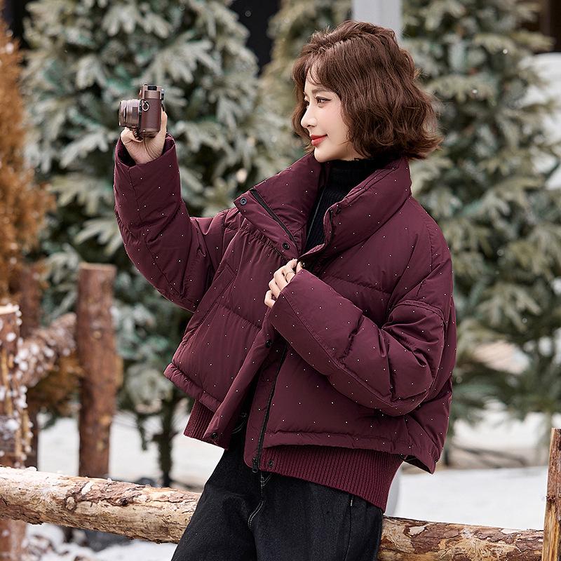 Women s Fashionable Warm Stand Collar Down Jacket - Winter Stitching Style M (115-130 Jin)
Women s Fashionable Warm Stand Collar Down Jacket - Winter Stitching Style M (115-130 Jin)