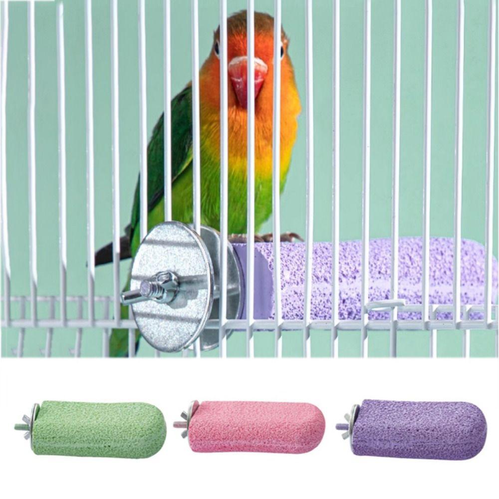 Wear Resistant Bird Standing Foot Toy Bird Station Pole For Budgies Canaries Cockatiels L зелёный
Wear Resistant Bird Standing Foot Toy Bird Station Pole For Budgies Canaries Cockatiels L зелёный