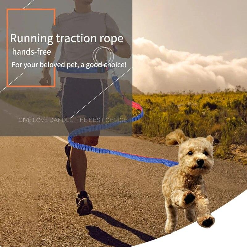 Pet Leash Multifunctional Dog Walking Leash Stretchable Elastic Explosion-Proof Punch Outdoor Running Dog Walking Leash зелёный
Pet Leash Multifunctional Dog Walking Leash Stretchable Elastic Explosion-Proof Punch Outdoor Running Dog Walking Leash зелёный