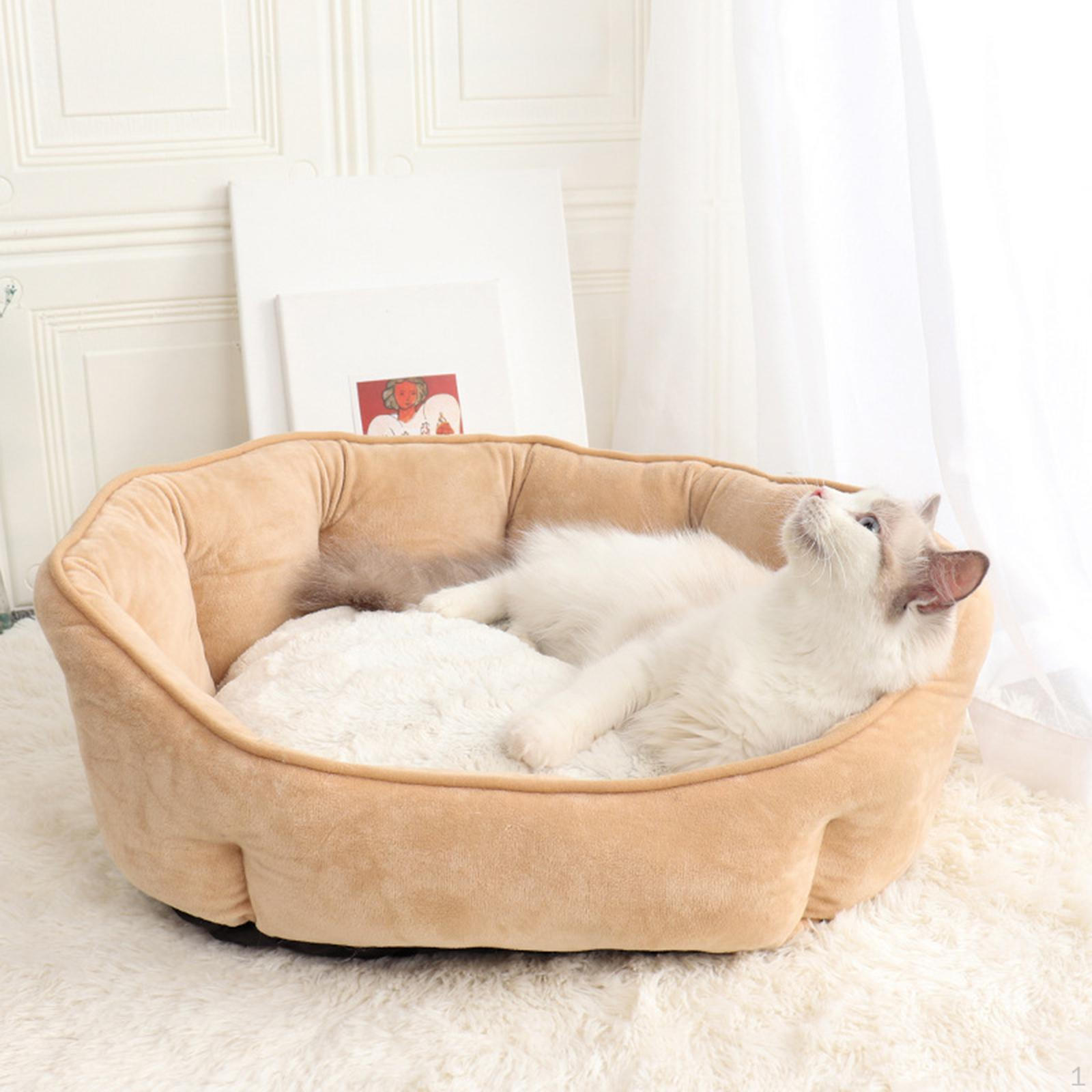 Shaped Cat Cage Dog Winter Indoor Cuddle Sleeping Cushion Pad Medium dogs and cats хаки
Shaped Cat Cage Dog Winter Indoor Cuddle Sleeping Cushion Pad Medium dogs and cats хаки