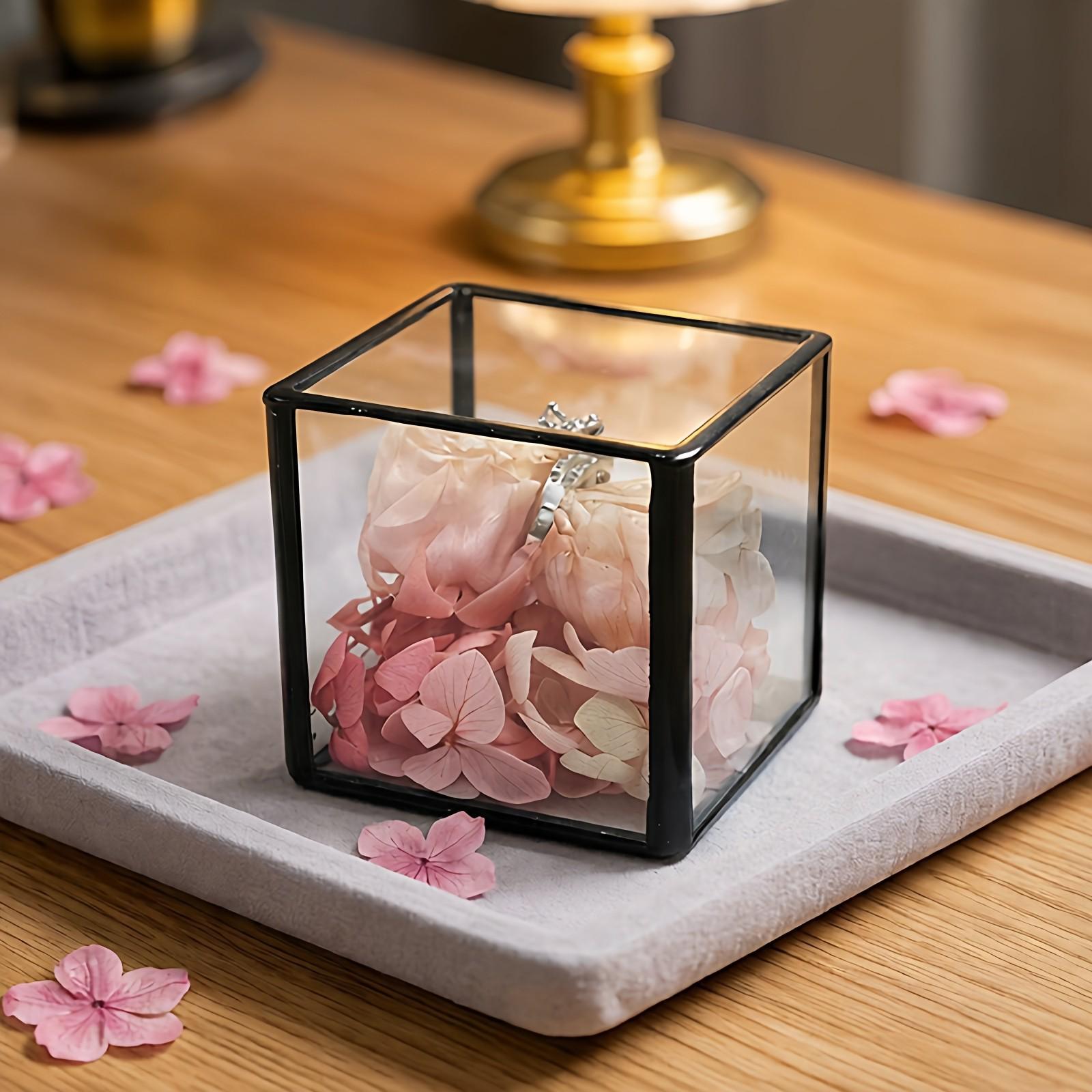 Square Transparent Glass Jewelry Box - Ring, Ear Stud, Earring, and Necklace Organizer 5.5x5.5x5.5 cm чёрный
Square Transparent Glass Jewelry Box - Ring, Ear Stud, Earring, and Necklace Organizer 5.5x5.5x5.5 cm чёрный