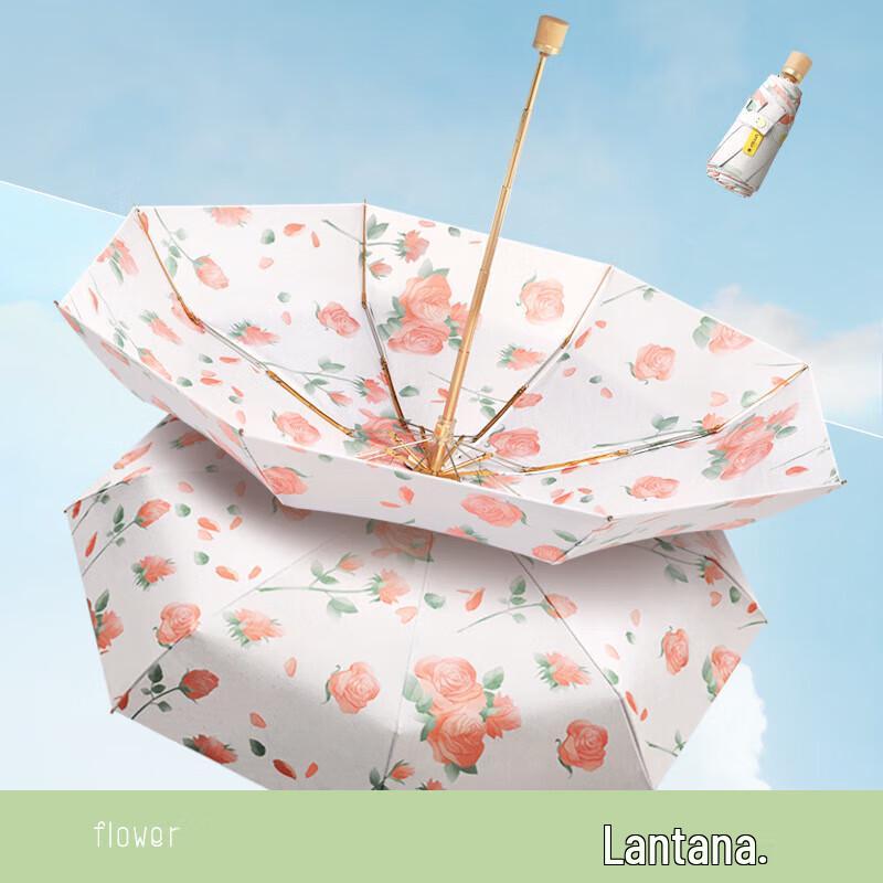 Xuqing Five-Fold Double-Layer Sun/Rain Umbrella
Xuqing Five-Fold Double-Layer Sun/Rain Umbrella