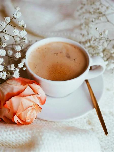 Алмазная картина вышивка чашка кофе полный квадрат/круг мозаика вышивка крестом окно пейзаж кристалл настенная наклейка Full Round 20x30CM
Алмазная картина вышивка чашка кофе полный квадрат/круг мозаика вышивка крестом окно пейзаж кристалл настенная наклейка Full Round 20x30CM